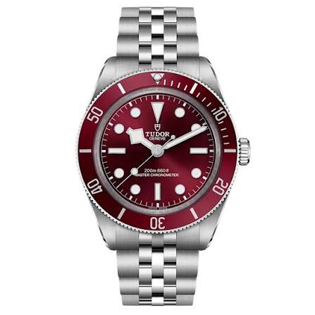 Tudor Black Bay