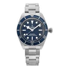 Tudor Black Bay